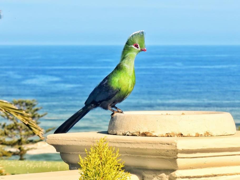 Livingstone Villa Wilderness Ngoại thất bức ảnh