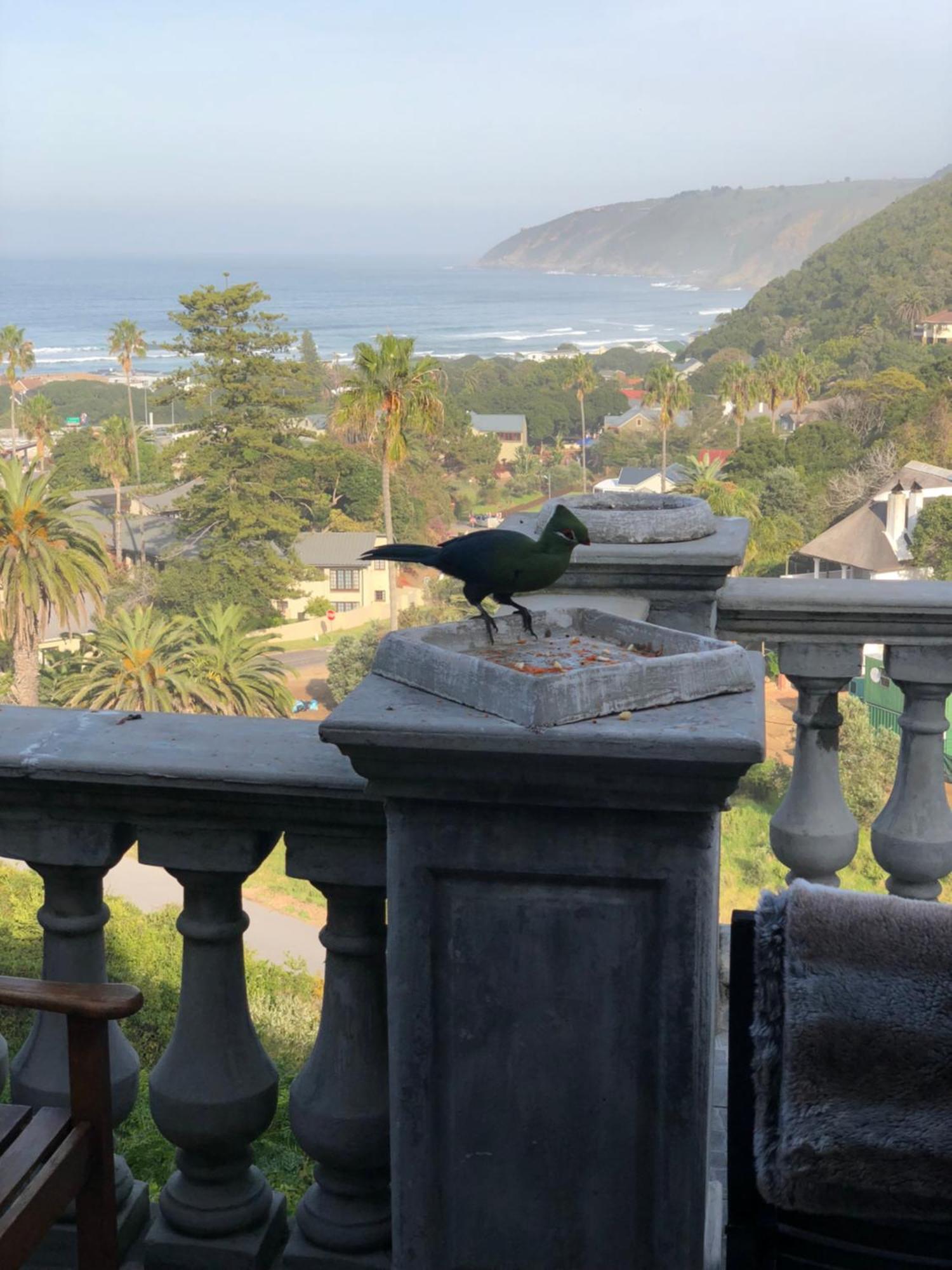 Livingstone Villa Wilderness Ngoại thất bức ảnh