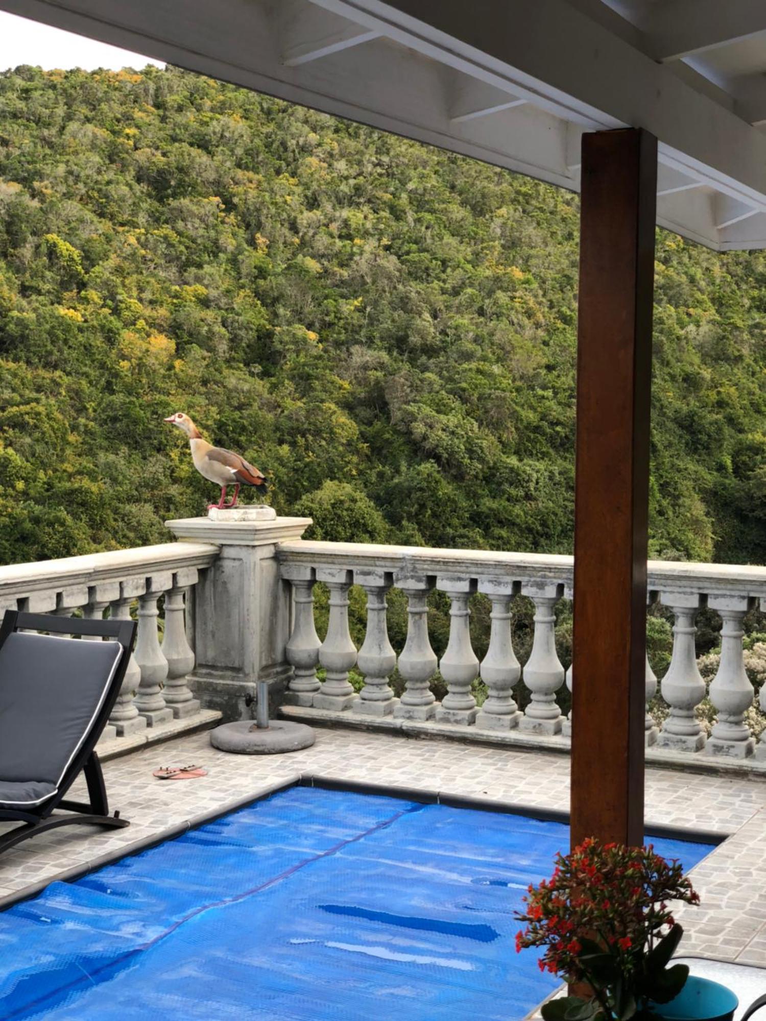 Livingstone Villa Wilderness Ngoại thất bức ảnh