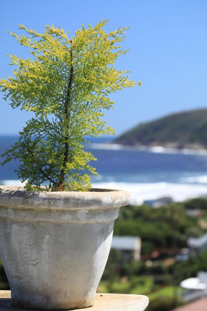 Livingstone Villa Wilderness Ngoại thất bức ảnh